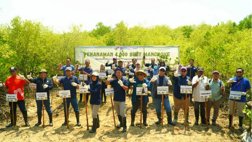 Lestarikan Lingkungan, PT Telkom Regional 3 dan BMM Tanam 4.000 Bibit Mangrove