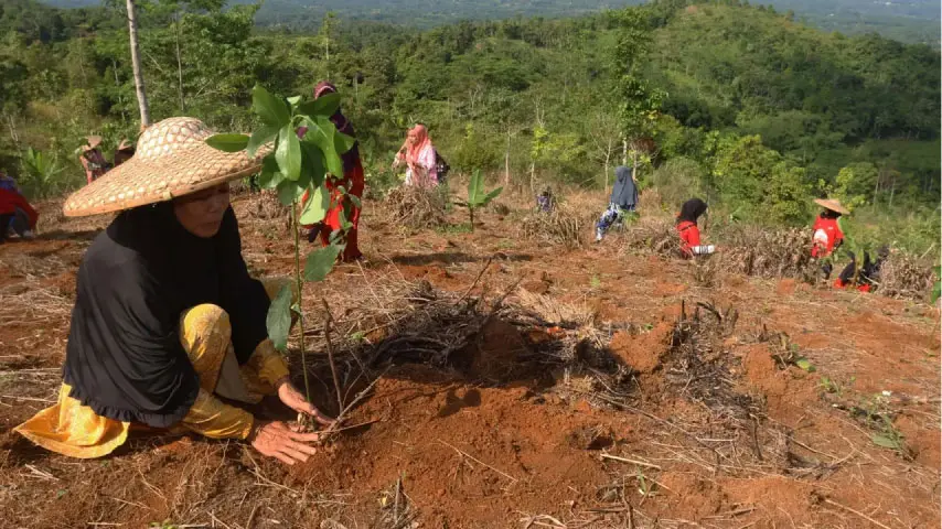 Jumlah Lahan Kritis Nasional Tinggi, Telkom Dukung Pemulihan 82,1 Ha Melalui Reboisasi